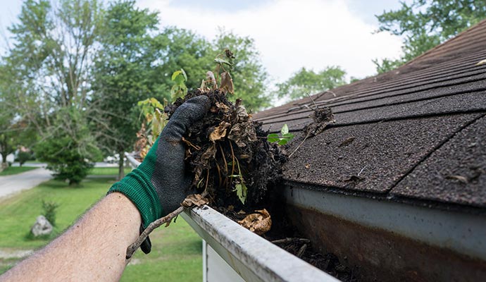 A person is cleaning gutter wearing gloves A person is cleaning gutter wearing gloves