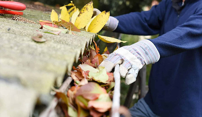 gutter-expert-cleaning