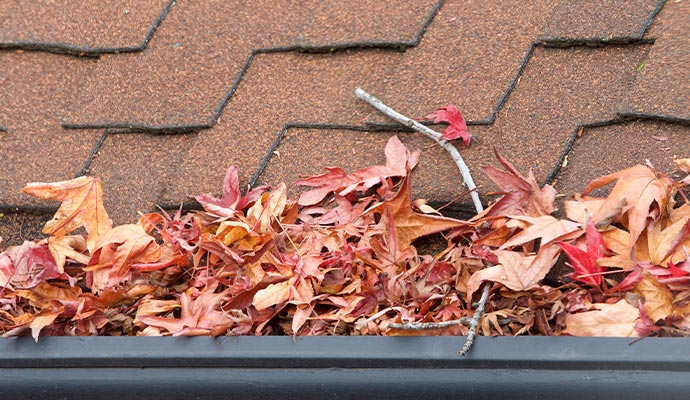 Professional Gutter Cleaning Benefits in Raleigh & Wake Forest