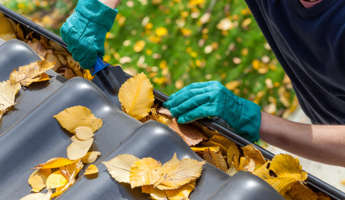 Professional gutter cleaning