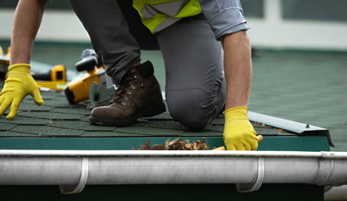 professional home gutter cleaning